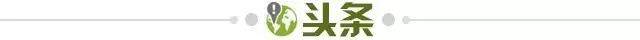 1725039400200029994.jpg 头条.jpg